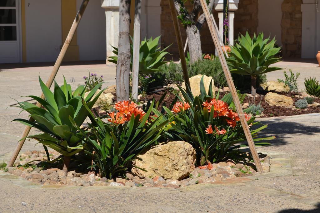 Sherryflat Bodega San Blas Jerez de la Frontera